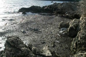 Pelješac, 21. studenoga 2010. - uslijed jakoga juga nanosi raznovrsnog otpada iz smjera Albanije i dijelom Italije preplavili su plaže na predjelu Žuljana i Trstenika